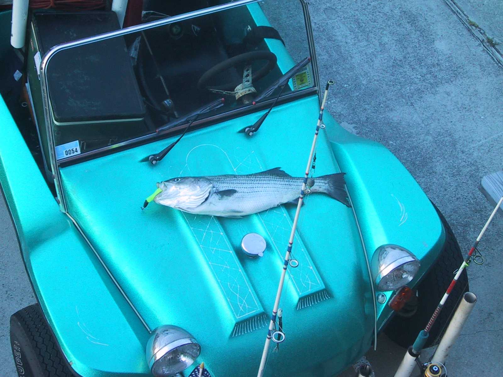 bass fishing lures